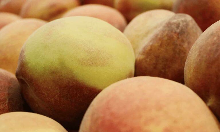 Peaches Recalled Following Salmonella Outbreak