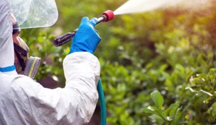 California paraquat applying paraquat