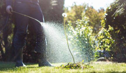 California roundup lawsuit lawyers spraying weeds